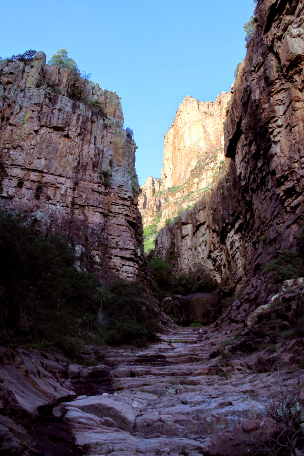 IMG_3713.JPG height=640